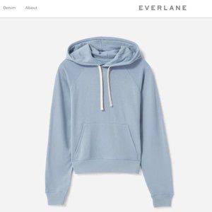 Baby Blue Hoodie Everlane